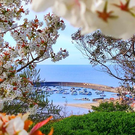 Seabreeze Διαμέρισμα Λάιμ Ρέγκις Εξωτερικό φωτογραφία