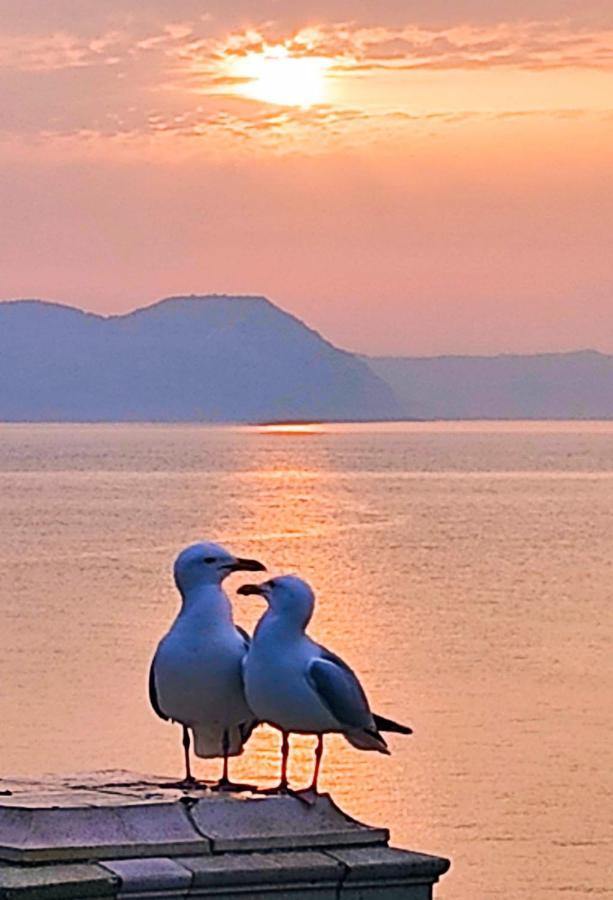 Seabreeze Διαμέρισμα Λάιμ Ρέγκις Εξωτερικό φωτογραφία